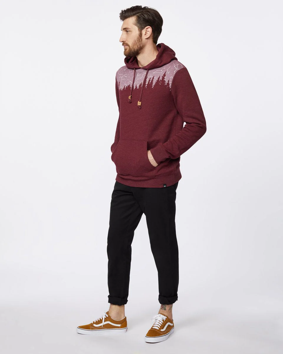 Constellation Juniper Hoodie - Image 5